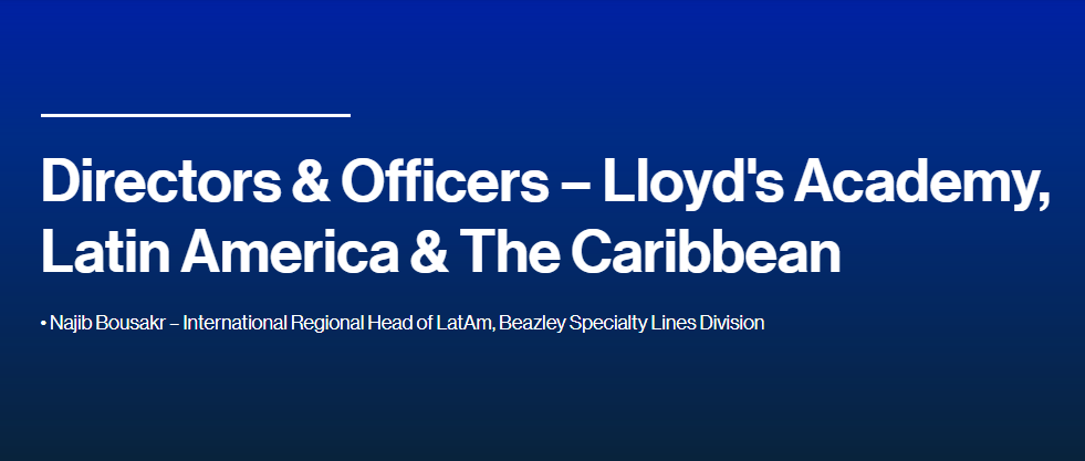 Directors & Officers programme – Lloyd's Academy, Latin America & The Caribbean