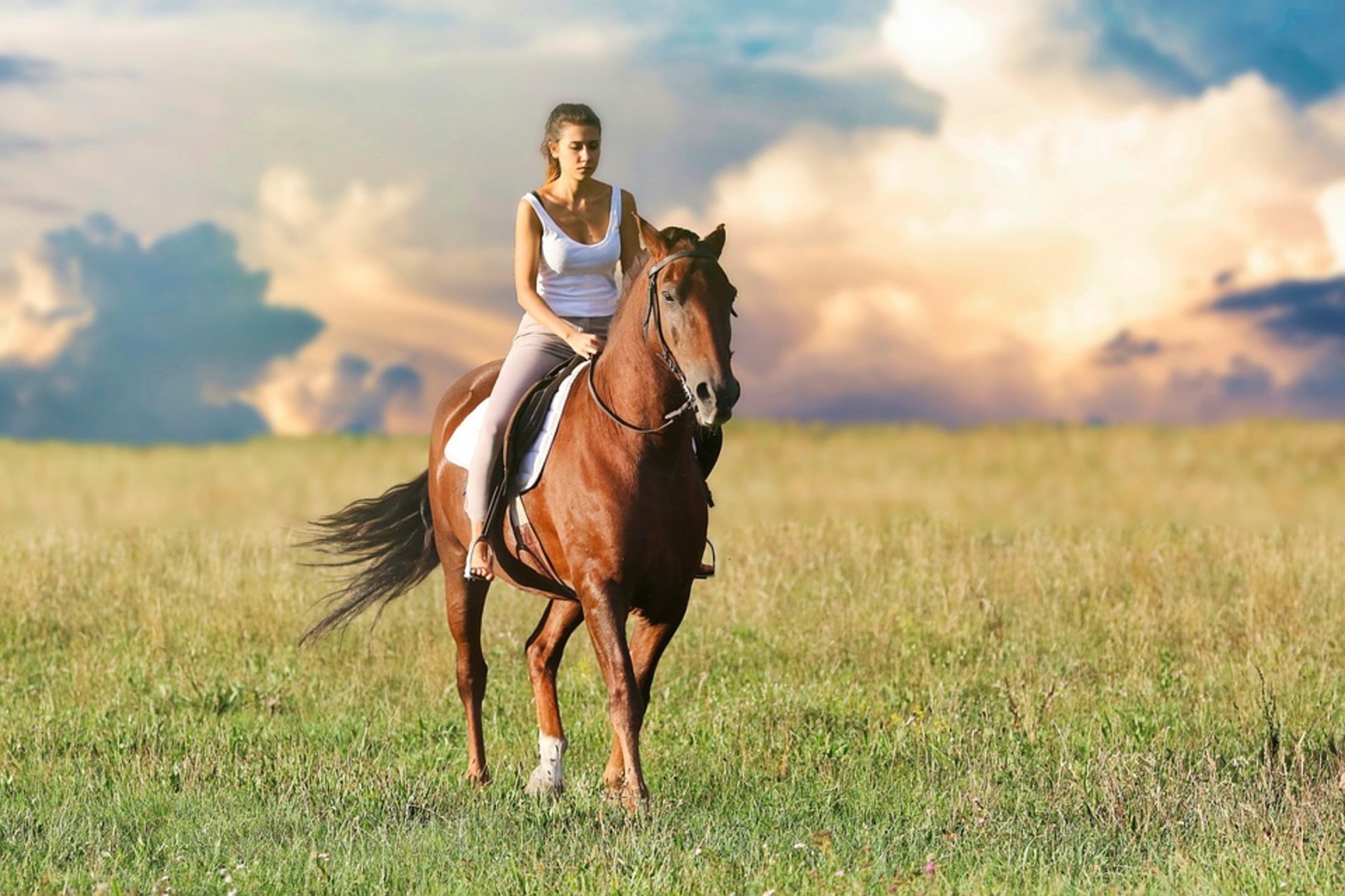 It's not always the horse's fault - a look at the Animals Act 1971