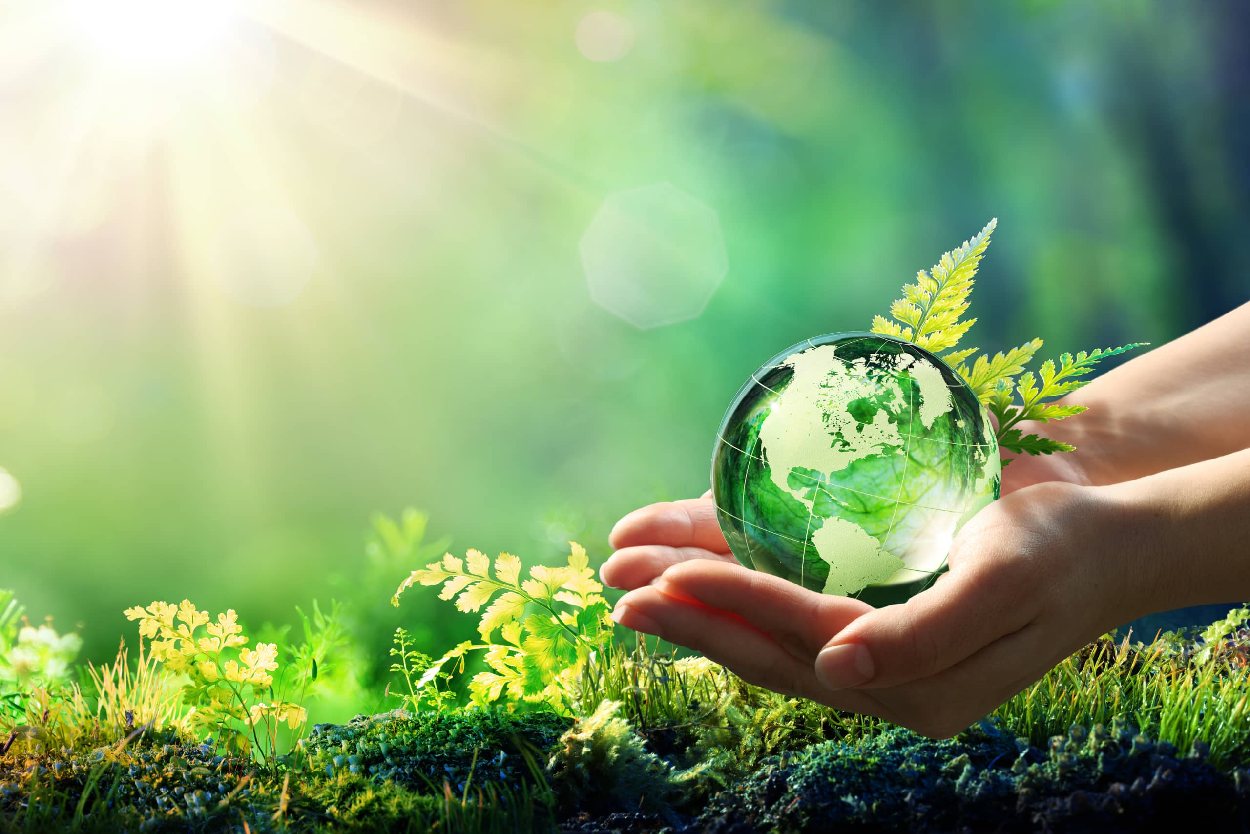 The Environment Bill 2020 - What does it mean for insurers The Environment Bill 2020 - What does it mean for insurers